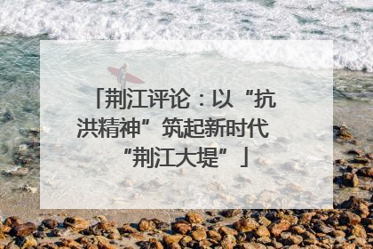 荆江评论：以“抗洪精神”筑起新时代“荆江大堤”
