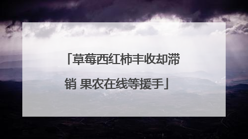 草莓西红柿丰收却滞销 果农在线等援手