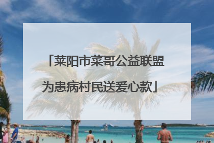 莱阳市菜哥公益联盟为患病村民送爱心款