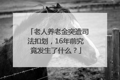 老人养老金突遭司法扣划，16年前究竟发生了什么？