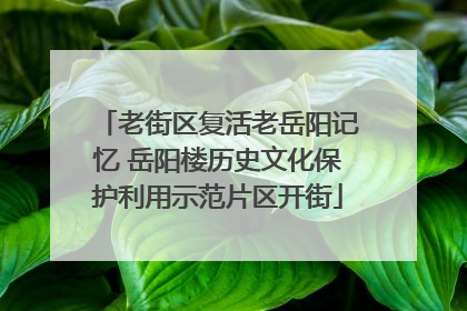 老街区复活老岳阳记忆 岳阳楼历史文化保护利用示范片区开街
