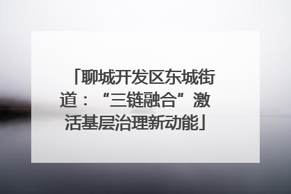 聊城开发区东城街道：“三链融合”激活基层治理新动能
