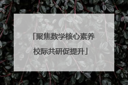聚焦数学核心素养 校际共研促提升