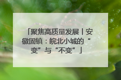 聚焦高质量发展丨安徽固镇：皖北小城的“变”与“不变”