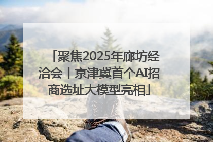 聚焦2025年廊坊经洽会丨京津冀首个AI招商选址大模型亮相