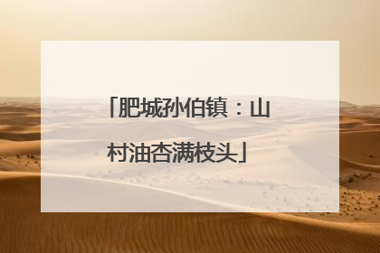 肥城孙伯镇：山村油杏满枝头