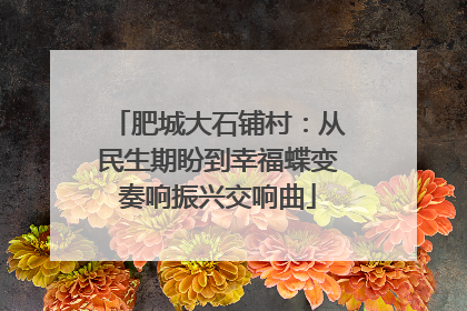 肥城大石铺村：从民生期盼到幸福蝶变奏响振兴交响曲