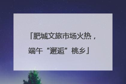 肥城文旅市场火热，端午“邂逅”桃乡