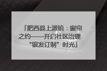 肥西县上派镇：窗帘之约——开启社区治理“银发订制”时光