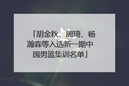 胡金秋、周琦、杨瀚森等入选新一期中国男篮集训名单