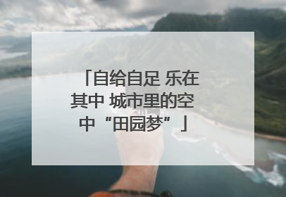 自给自足 乐在其中 城市里的空中“田园梦”