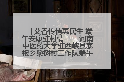 艾香传情惠民生 端午安康驻村情——河南中医药大学驻西峡县寨根乡桑树村工作队端午中医惠民记