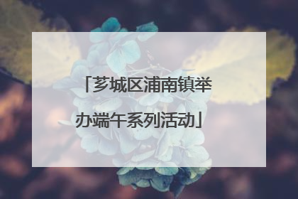 芗城区浦南镇举办端午系列活动