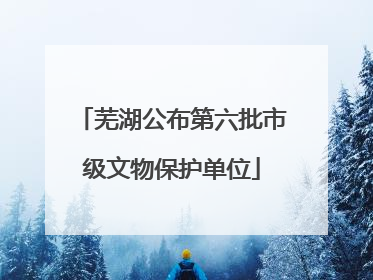 芜湖公布第六批市级文物保护单位