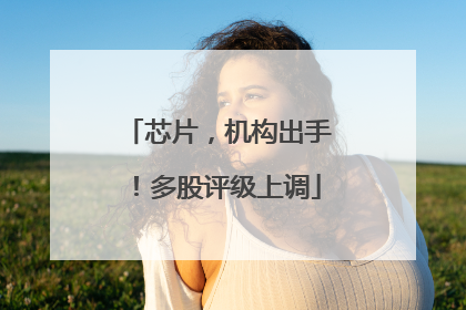 芯片，机构出手！多股评级上调