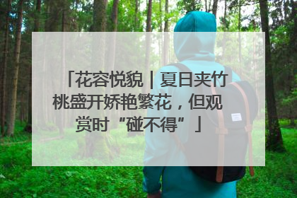 花容悦貌｜夏日夹竹桃盛开娇艳繁花，但观赏时“碰不得”
