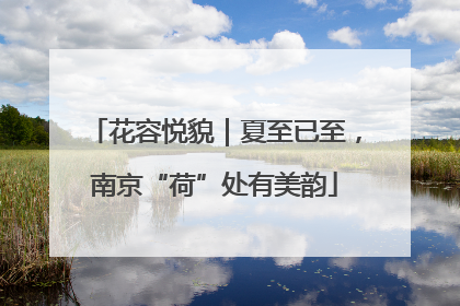 花容悦貌｜夏至已至，南京“荷”处有美韵