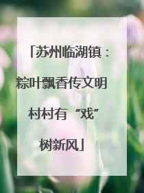 苏州临湖镇：粽叶飘香传文明 村村有“戏”树新风