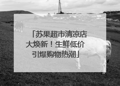 苏果超市清凉店大焕新！生鲜低价引爆购物热潮