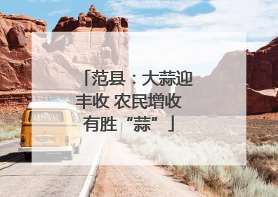 范县：大蒜迎丰收 农民增收有胜“蒜”
