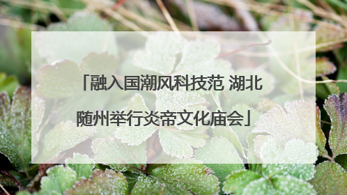 融入国潮风科技范 湖北随州举行炎帝文化庙会