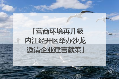 营商环境再升级 内江经开区举办沙龙邀请企业建言献策