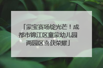 蒙宝赛场绽光芒！成都市锦江区童蒙幼儿园两园区喜获荣耀