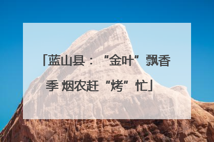蓝山县：“金叶”飘香季 烟农赶“烤”忙