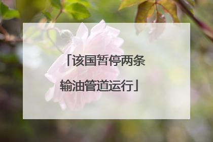 该国暂停两条输油管道运行