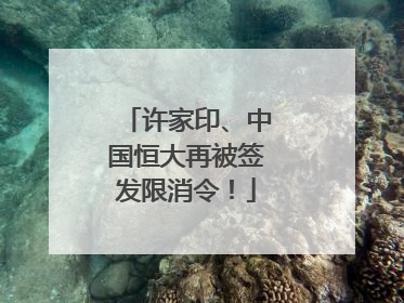 许家印、中国恒大再被签发限消令！