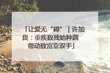 让爱无“碍”｜许加良：重疾致残始种藕 带动致富靠双手