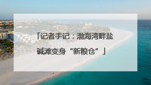记者手记：渤海湾畔盐碱滩变身“新粮仓”