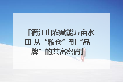 衢江山农赋能万亩水田 从“粮仓”到“品牌”的共富密码