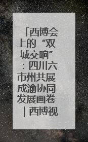 西博会上的“双城交响”：四川六市州共展成渝协同发展画卷｜西博视界