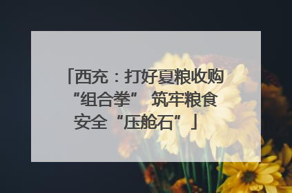 西充：打好夏粮收购“组合拳” 筑牢粮食安全“压舱石”