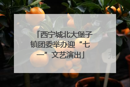 西宁城北大堡子镇团委举办迎“七一”文艺演出