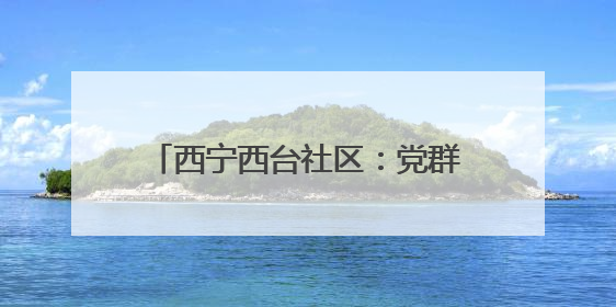 西宁西台社区：党群携手 “粽”享温情