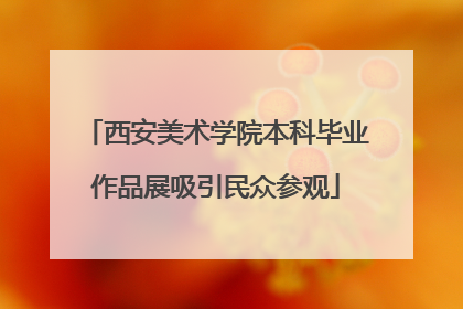 西安美术学院本科毕业作品展吸引民众参观
