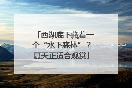 西湖底下藏着一个“水下森林”？夏天正适合观赏