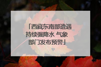 西藏东南部遭遇持续强降水 气象部门发布预警