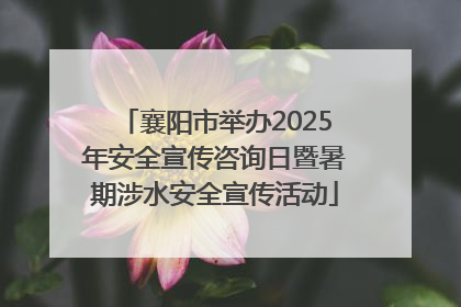 襄阳市举办2025年安全宣传咨询日暨暑期涉水安全宣传活动