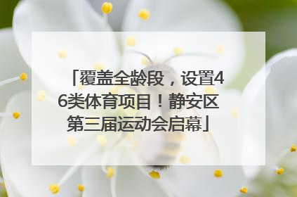 覆盖全龄段，设置46类体育项目！静安区第三届运动会启幕