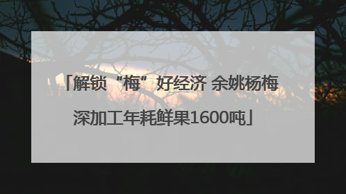 解锁“梅”好经济 余姚杨梅深加工年耗鲜果1600吨