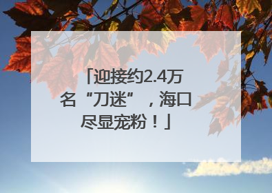 迎接约2.4万名“刀迷”，海口尽显宠粉！