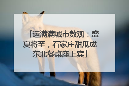 运满满城市数观：盛夏将至，石家庄甜瓜成东北餐桌座上宾