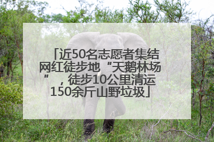 近50名志愿者集结网红徒步地“天鹅林场”，徒步10公里清运150余斤山野垃圾