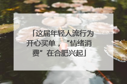这届年轻人流行为开心买单，“情绪消费”在合肥兴起