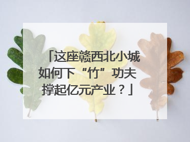 这座赣西北小城如何下“竹”功夫撑起亿元产业？