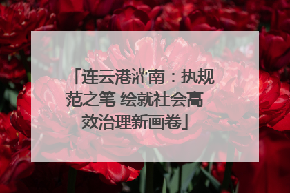 连云港灌南：执规范之笔 绘就社会高效治理新画卷