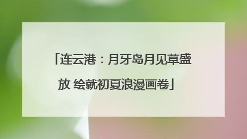 连云港：月牙岛月见草盛放 绘就初夏浪漫画卷